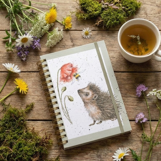 מחברת ספירלה קיפוד Wrendale