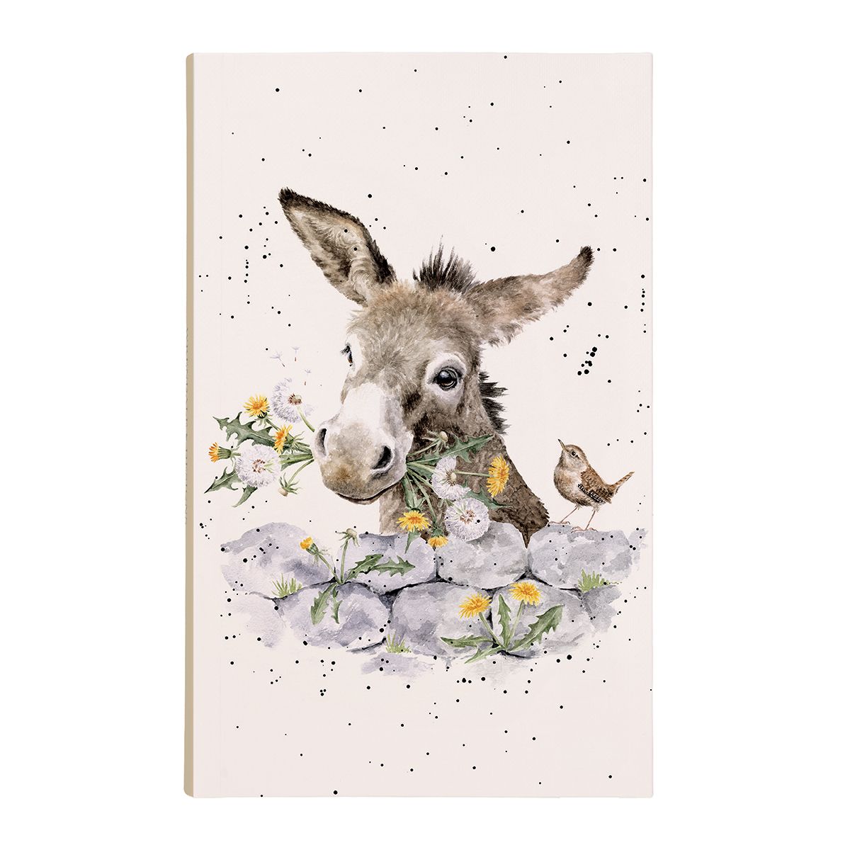 פנקס Donkey Fine and Dandy