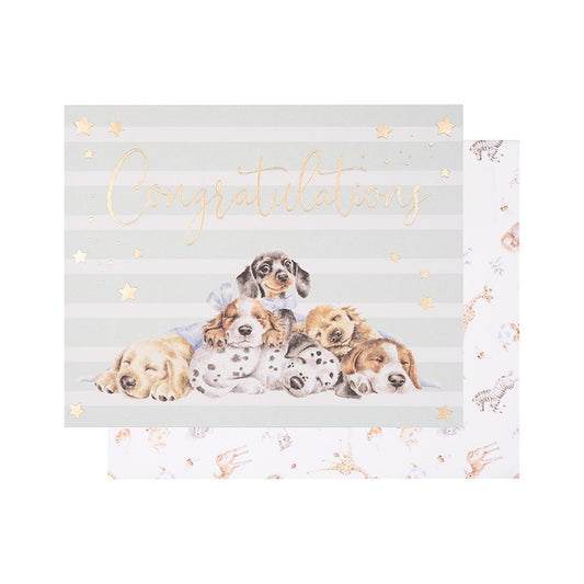 כרטיס ברכה Little Paws - Congratulations (LTW-OC003)