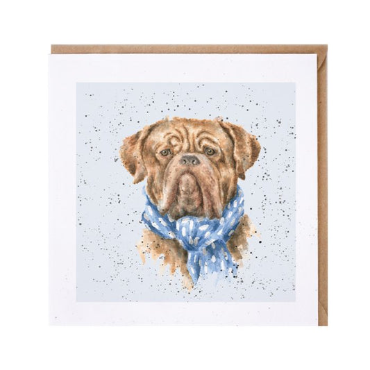 כרטיס ברכה 'Antonio' Dogue de Bordeaux (DR031)