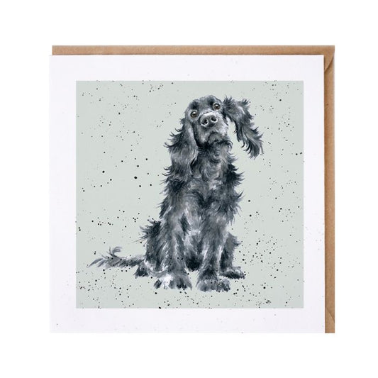 כרטיס ברכה 'Lupo' cocker spaniel (DR005)