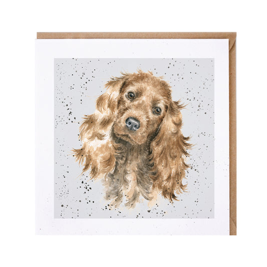 כרטיס ברכה Fudge' cocker spaniel (DR004)