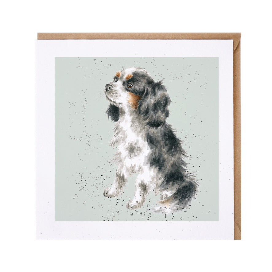 כרטיס ברכה George' cavalier King Charles (DR007)