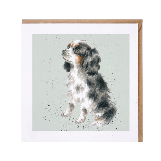 כרטיס ברכה George' cavalier King Charles (DR007)