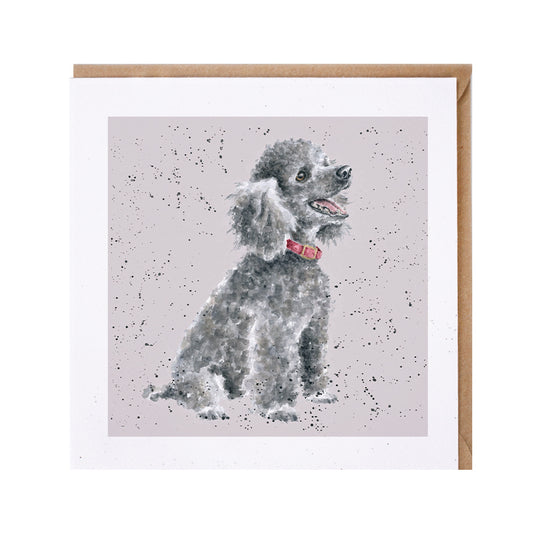 כרטיס ברכה 'Alice' poodle (DR042)