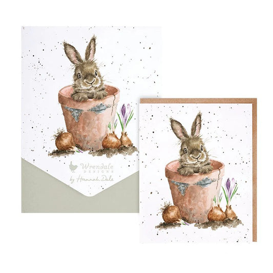 מארז כרטיסי ברכה The Flower Pot Rabbit