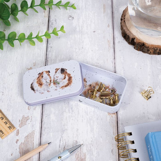 קופסת פח מיני שרקנים