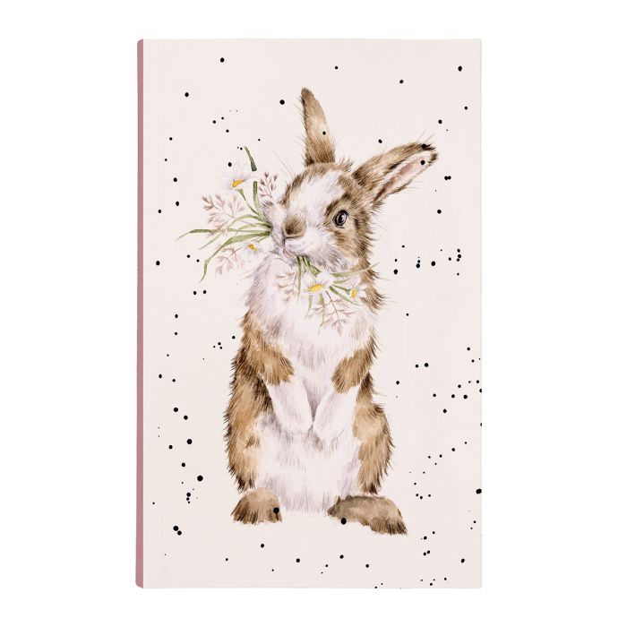 פנקס Rabbit Notepad All Ears