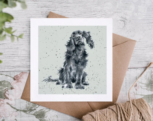 כרטיס ברכה 'Lupo' cocker spaniel (DR005)