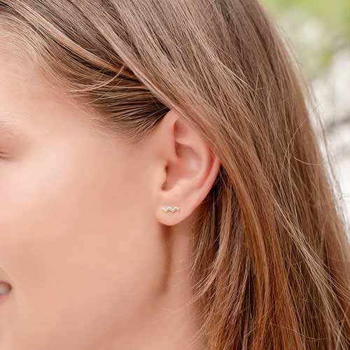 עגילי מזל דלי (Aquarius)קולקציית Zodiac