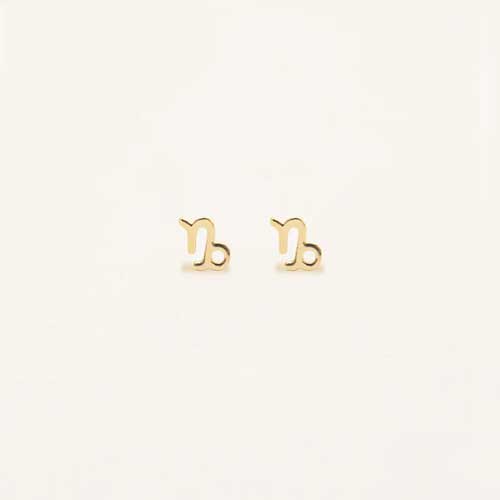 עגילי מזל גדי (Capricorn) קולקציית Zodiac