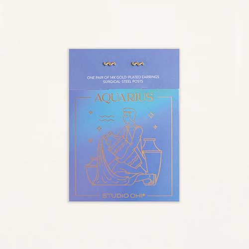 עגילי מזל דלי (Aquarius)קולקציית Zodiac