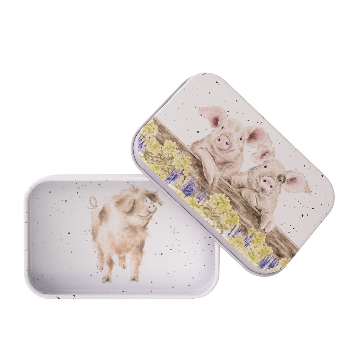 קופסת פח מיני Pig Nosy Neighboars