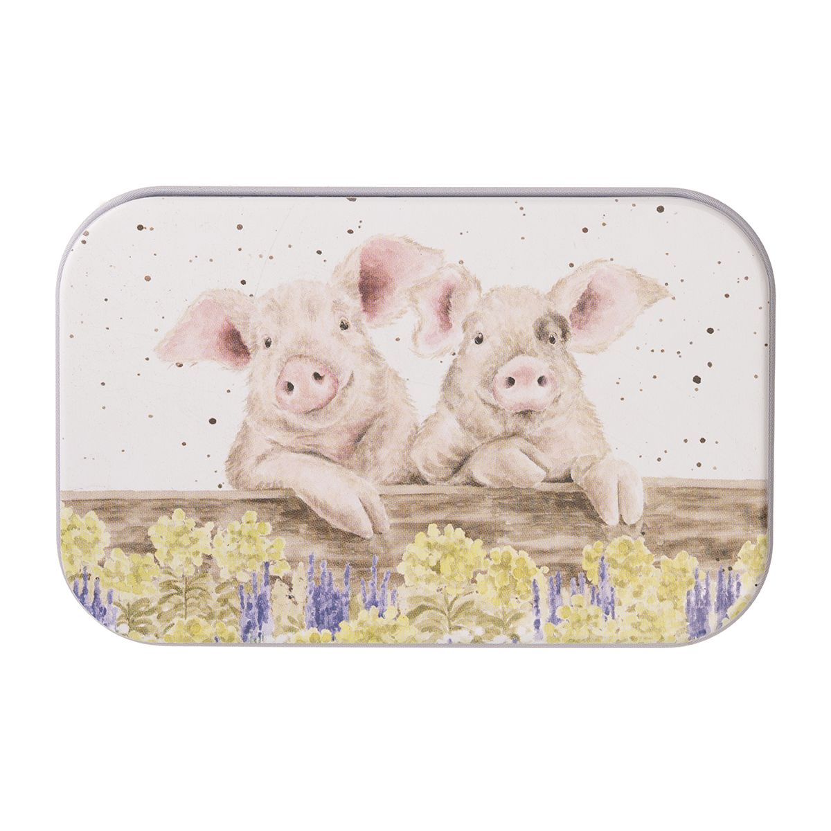 קופסת פח מיני Pig Nosy Neighboars