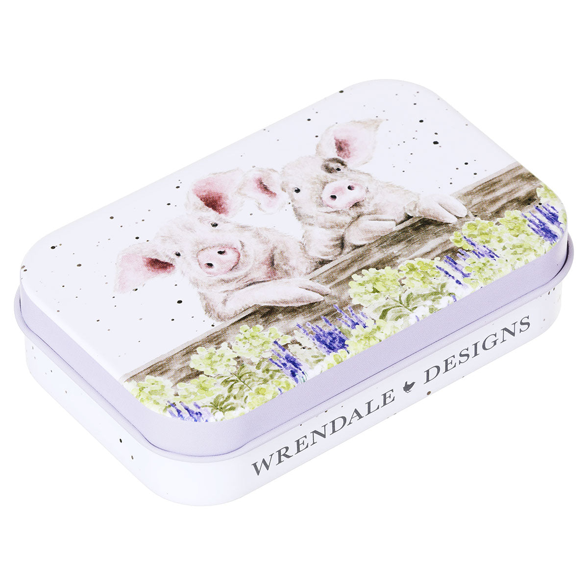 קופסת פח מיני Pig Nosy Neighboars