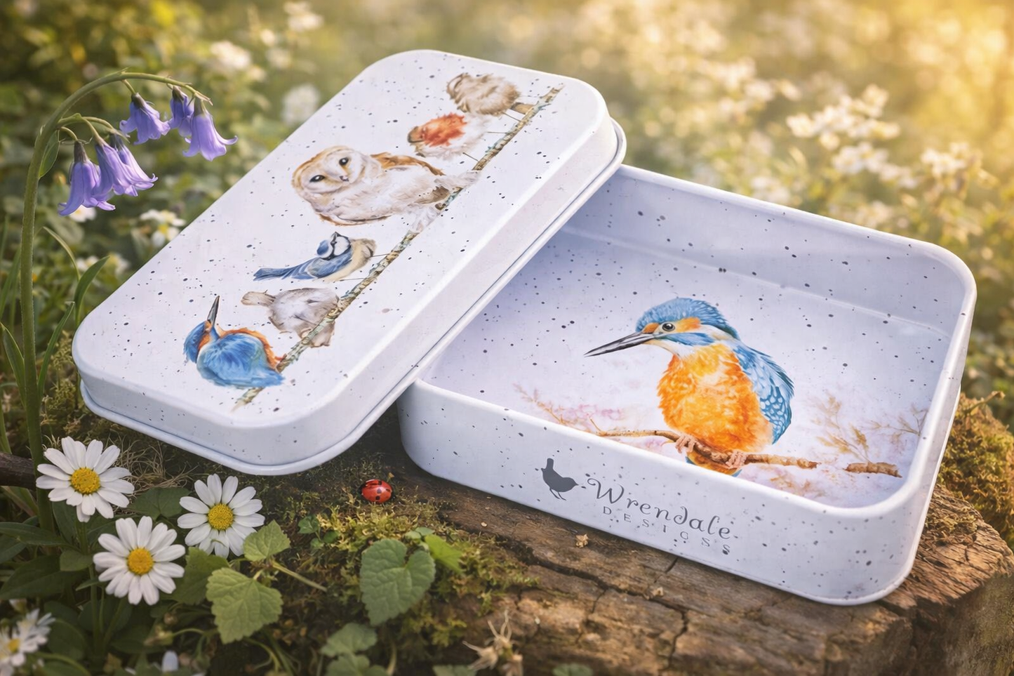 קופסת פח מיני 'Variety of Life' Bird