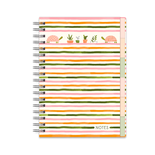 מחברת חוצצים צב