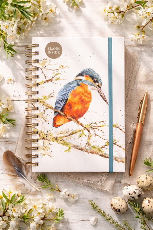 מחברת ספירלה חלקה Kingfisher Pond Dipping