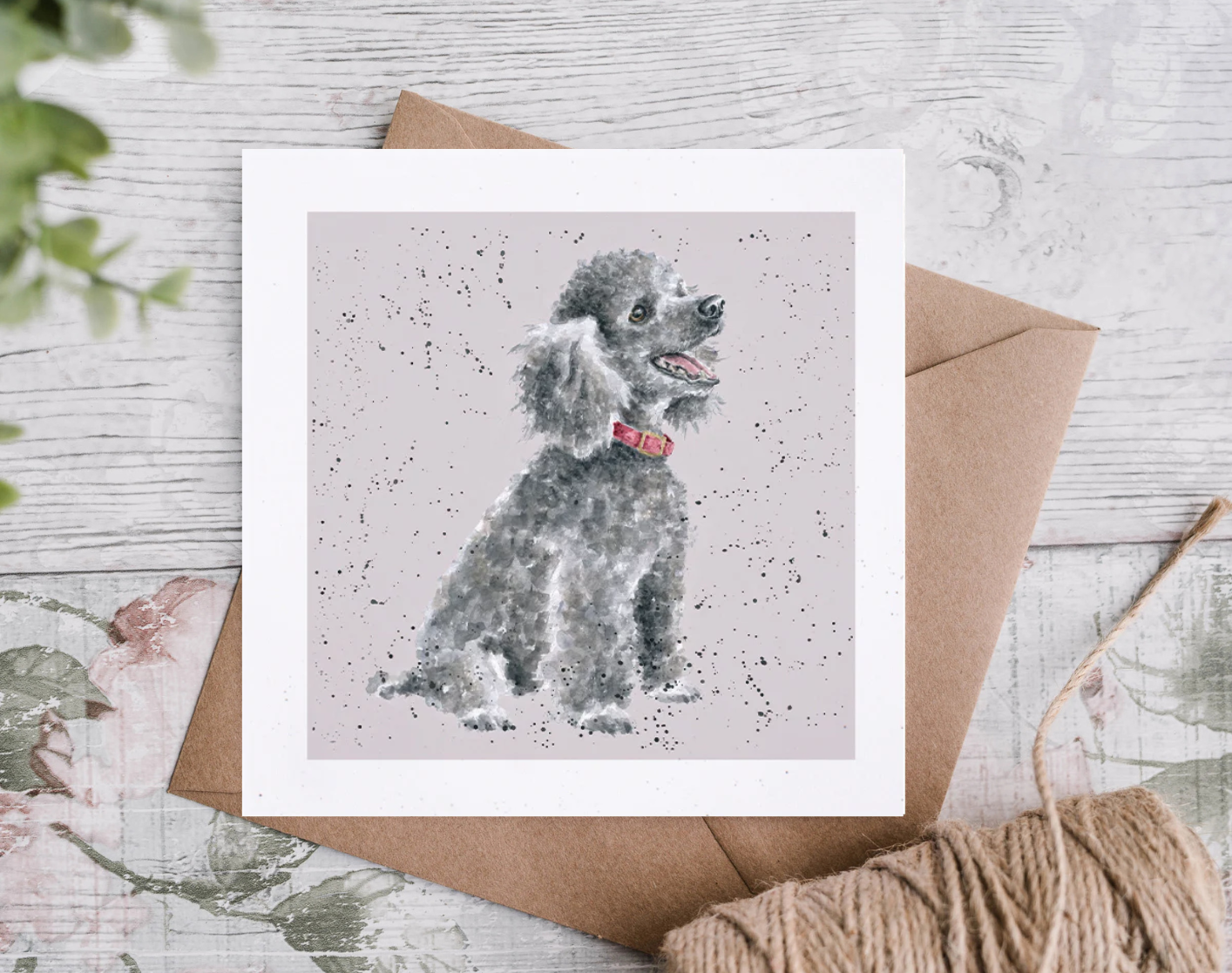 כרטיס ברכה 'Alice' poodle (DR042)