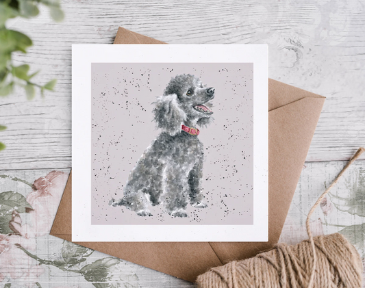 כרטיס ברכה 'Alice' poodle (DR042)