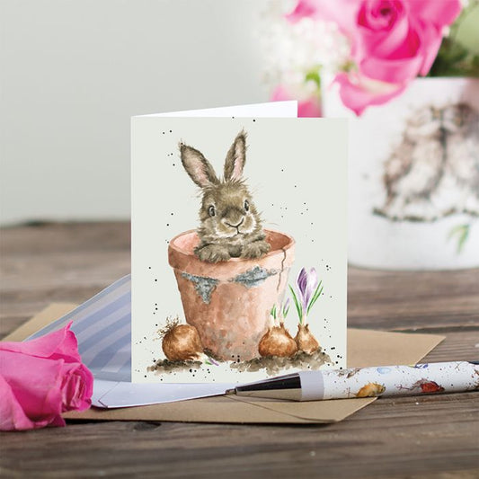 כרטיס ברכה מיני Flower Pot Bunny (GE121)