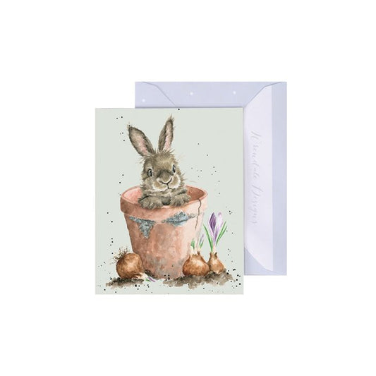 כרטיס ברכה מיני Flower Pot Bunny (GE121)