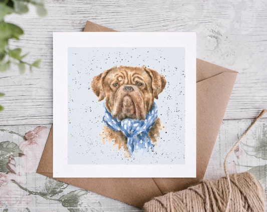 כרטיס ברכה 'Antonio' Dogue de Bordeaux (DR031)