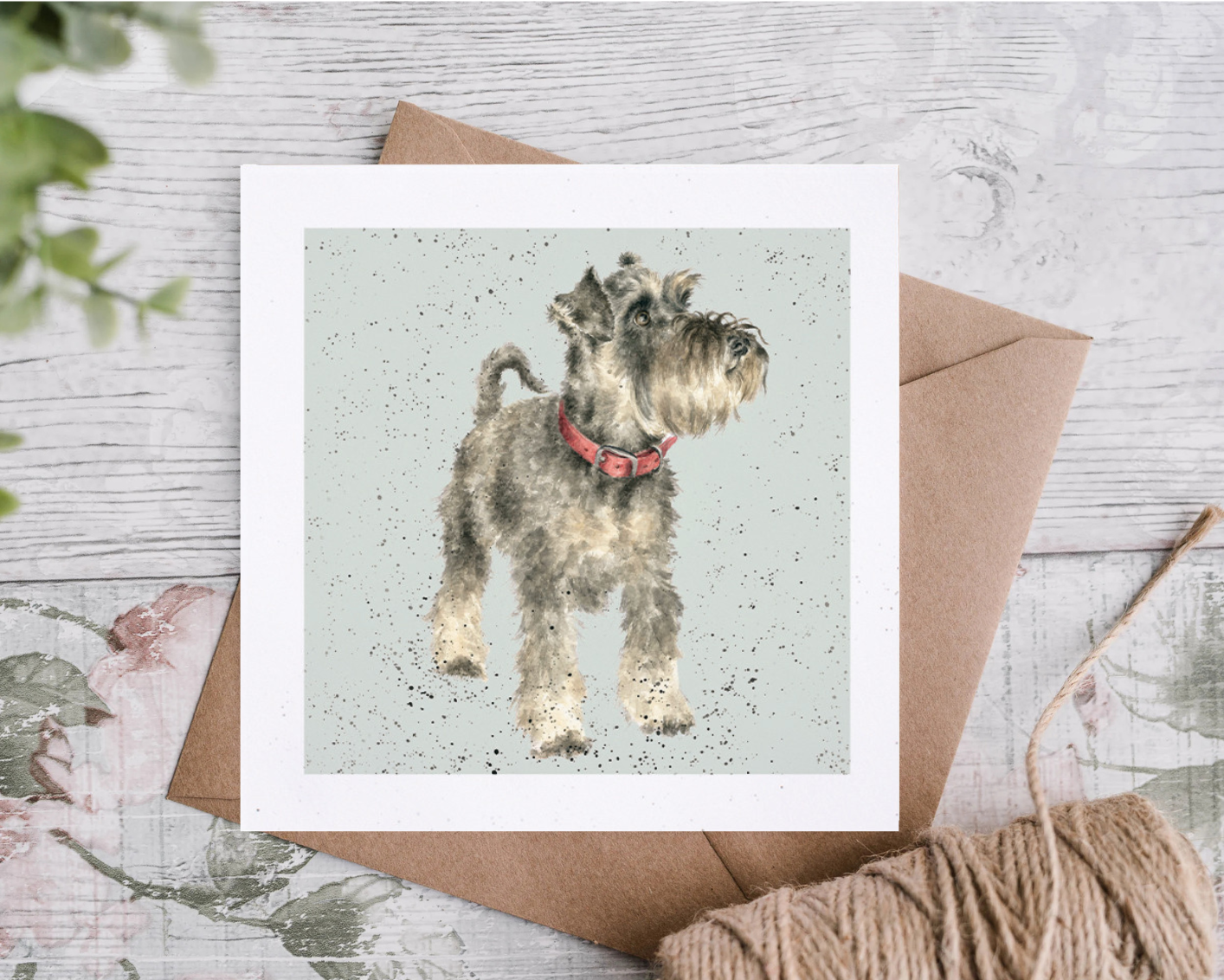 כרטיס ברכה Teddy' schnauzer (DR015)