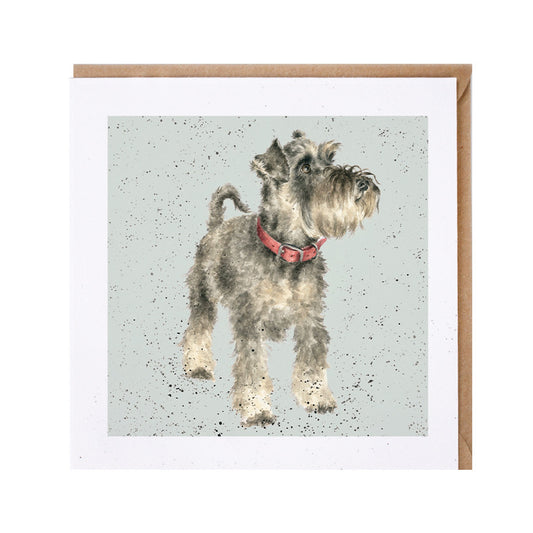 כרטיס ברכה Teddy' schnauzer (DR015)