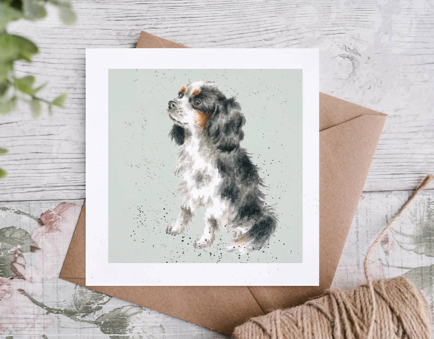 כרטיס ברכה George' cavalier King Charles (DR007)