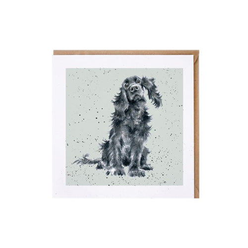 כרטיס ברכה ליום הולדת 'Lupo' cocker spaniel