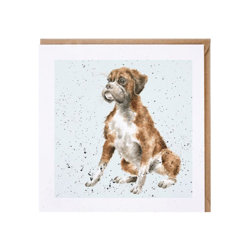 כרטיס ברכה ליום הולדת BOXER