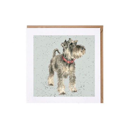 כרטיס ברכה ליום הולדת Teddy' schnauzer