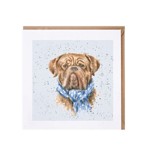 כרטיס ברכה ליום הולדת 'Antonio' Dogue de Bordeaux