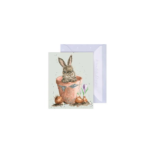 כרטיס ברכה מיני Flower Pot Bunny