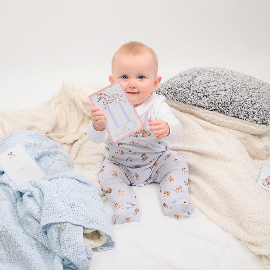 כרטיסי אבני דרך לתינוק