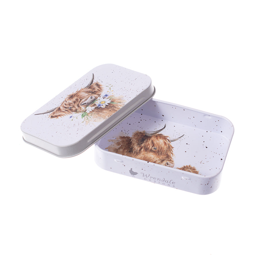 קופסת פח מיני פר