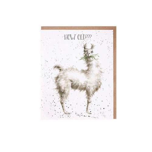 כרטיס ברכה ליום הולדת How Old???