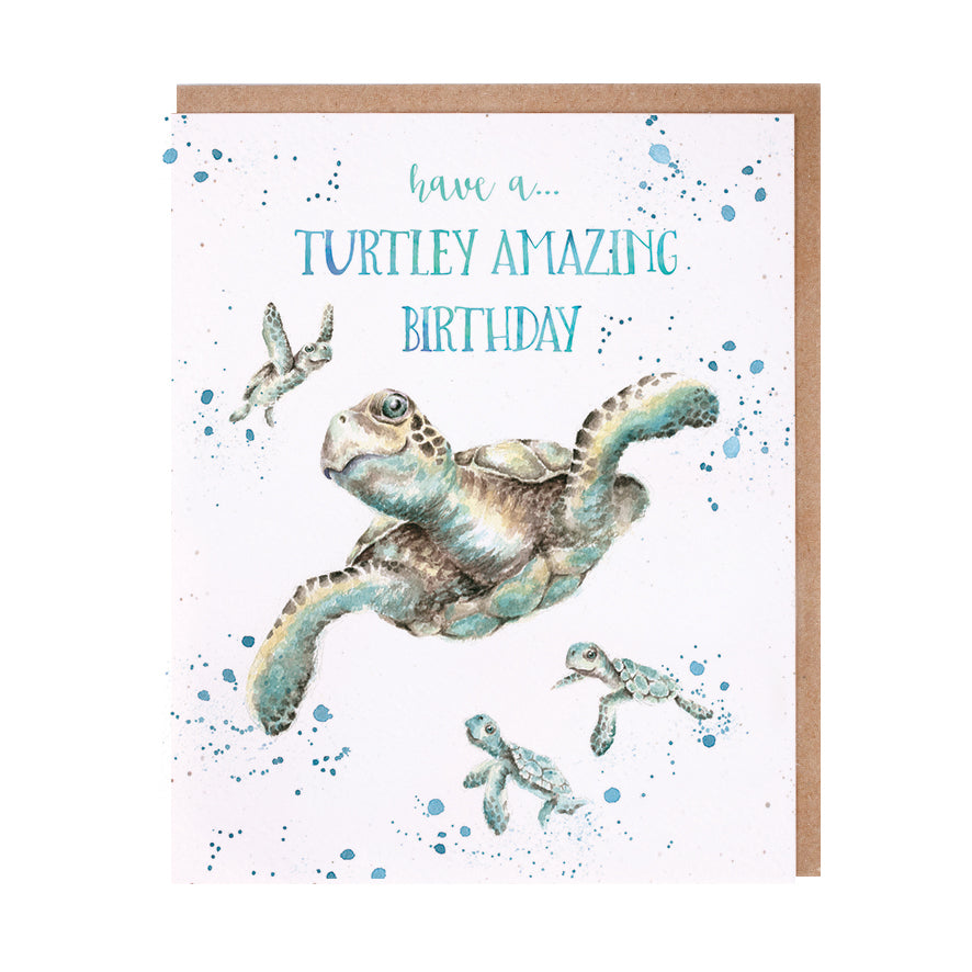 כרטיס ברכה ליום הולדת  Turtley Amazing (OC087)