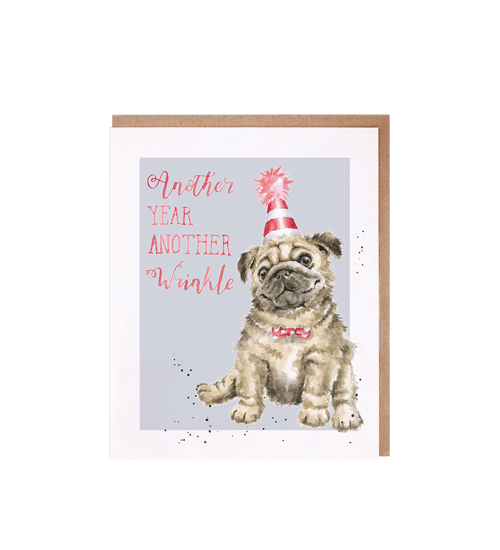כרטיס ברכה ליום הולדת 'Another Wrinkle' pug