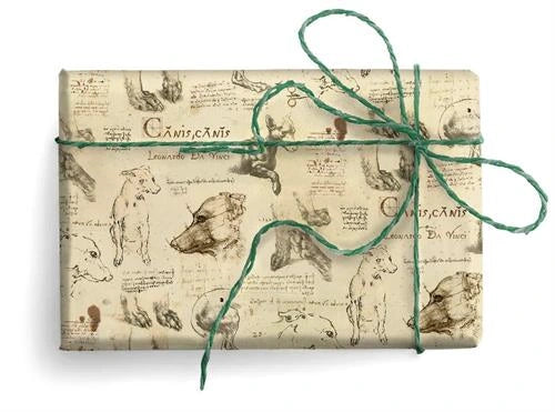 נייר עטיפה canis