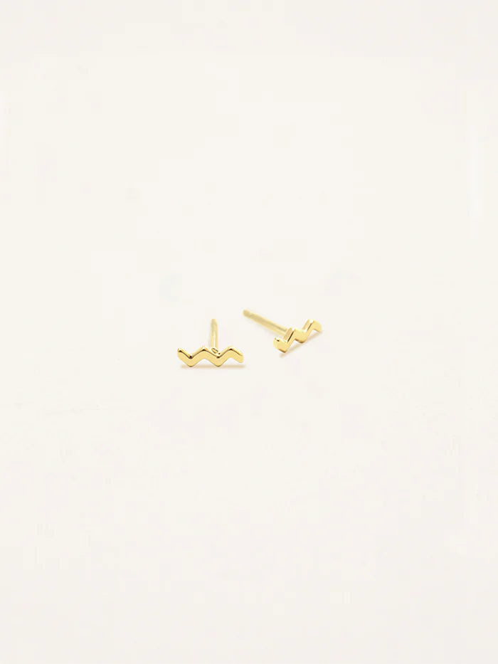 עגילי מזל דלי (Aquarius)קולקציית Zodiac