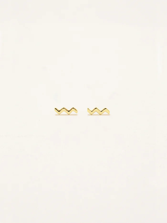 עגילי מזל דלי (Aquarius)קולקציית Zodiac