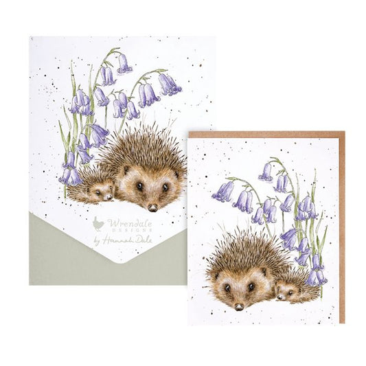 מארז כרטיסי ברכה Love and Hedgehugs