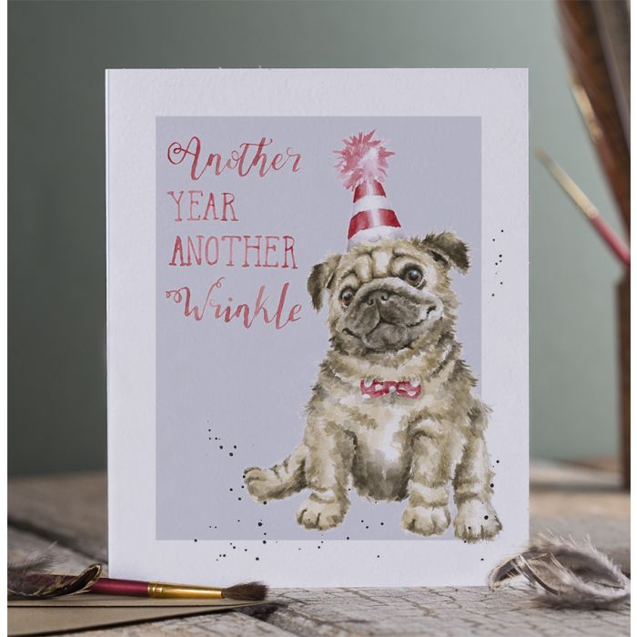 כרטיס ברכה ליום הולדת 'Another Wrinkle' pug (PAC010)