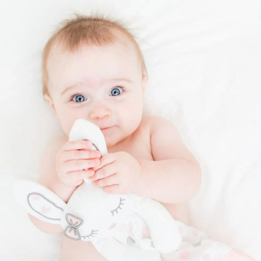 שמיכי ארנבת