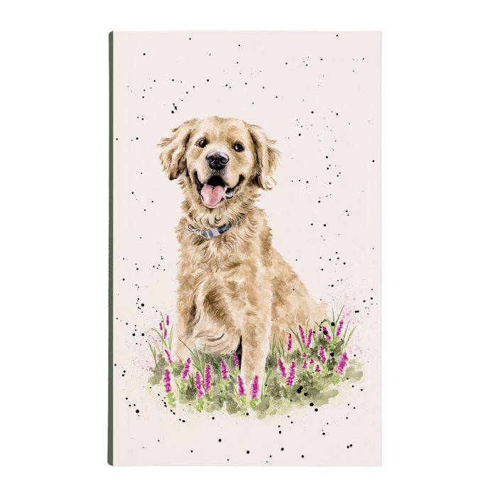 פנקס Dog Golden Moments