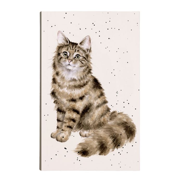 פנקס Cat Feline Fabulous
