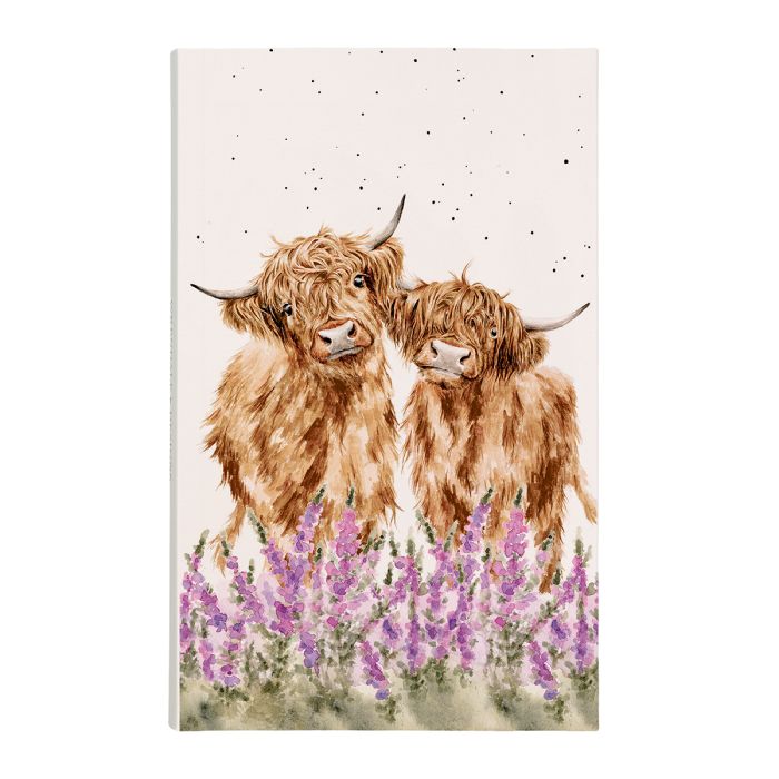 פנקס Highland Cow Gentle Giants